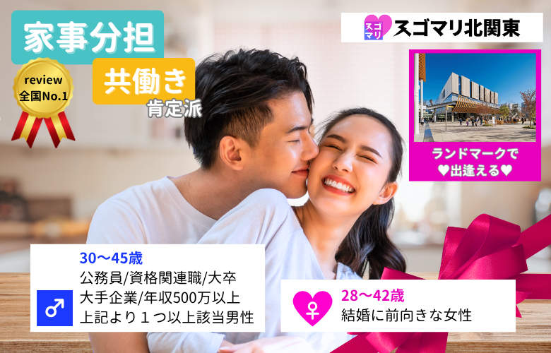 【家事分担・共働き肯定派】公務員/資格関連職/大卒以上/大手企業/年収500万以上より1つ以上該当する男性