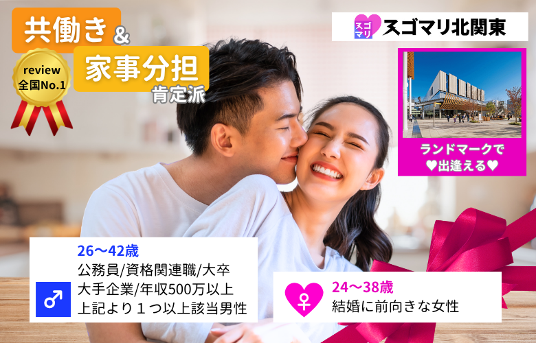 【共働き･家事分担肯定派】公務員/資格関連職/大卒以上/大手企業/年収500万以上より1つ以上該当する男性